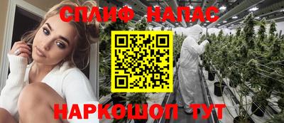 наркотики Сланцы