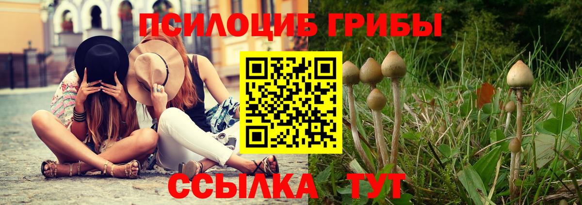 Галлюциногенные грибы GOLDEN TEACHER  Галлюциногенные грибы мухоморы  Вход с VPN  Новоалтайск 