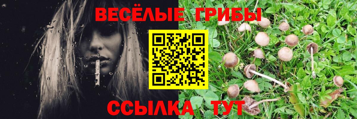 Псилоцибиновые грибы Magic Shrooms Новоалтайск